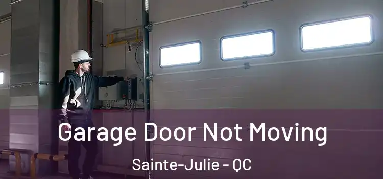  Garage Door Not Moving Sainte-Julie - QC