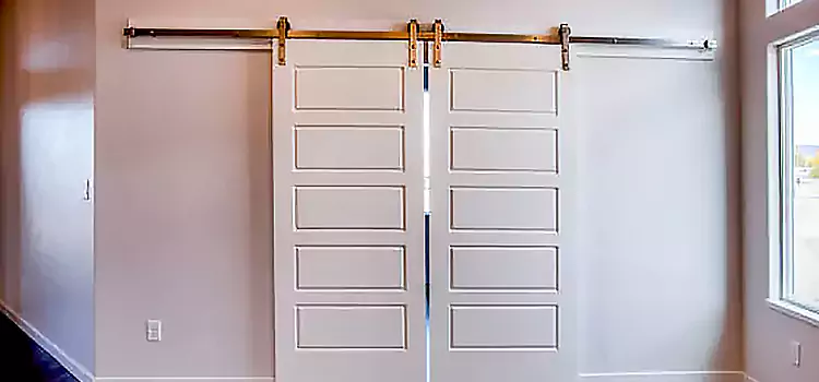 Glass Barn Door with Installation Hardware Kit Sainte-Julie